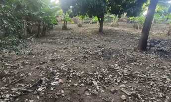 Imagem 2: Área - Parque Vista Alegre