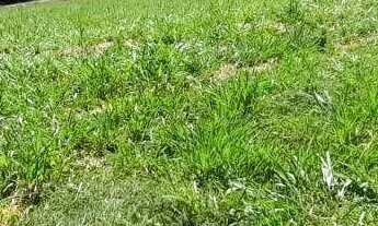 Imagem 2: Terreno à venda - Villa Toscana - Votorantim/SP