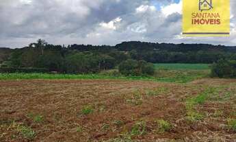 Imagem 2: Terreno à venda, 36905 m² por R$ 1.150.000,00 - São Caetano - Balsa Nova/PR