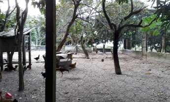 Imagem 7: Chácara Chácara com venda por R$550.000