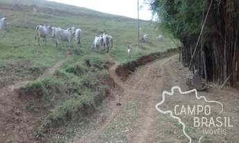 Imagem 6: Fazenda de 98 alqueires no Sul de Minas!