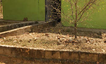 Imagem 3: Vendo lote 1.100 metros com Quartinho 59km de BH