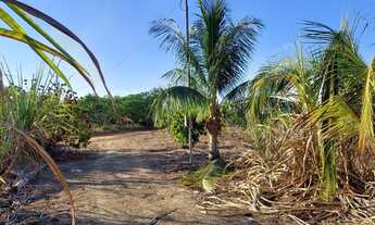 Imagem 6: Vendo Sítio de 35 Hectares no KM 100, Ramal São Bernardo. BR 319