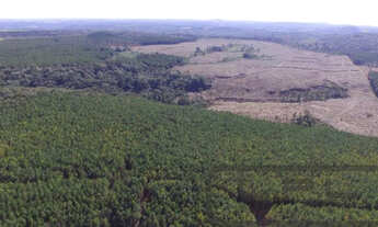 Imagem 2: Aceita permuta! Fazenda / sítio com venda por R$37.000.000