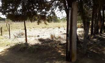 Imagem 2: Vendo lote 5000mts