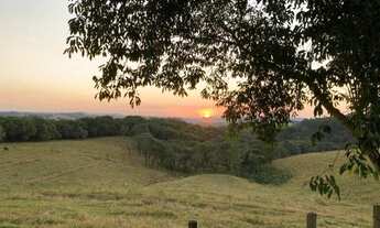 Imagem 2: Sítio 15 alqueires no Bairro dos Arrudas em Itapetininga-SP!!!!