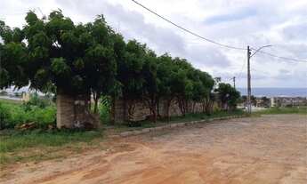 Imagem 4: Terreno Residencial na Porto da DUNAS com 2300m2