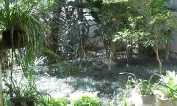 Imagem 6: São Paulo - Casa Padrão - ALTO DA LAPA