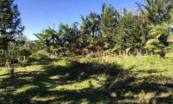 Imagem: Sítio à venda no bairro Egito - Antônio