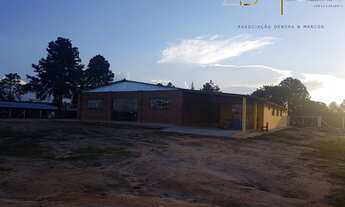 Imagem 4: Chácara linda á venda em Pardinho-SP