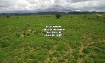 Imagem 7: 215 alqueires em Machadinho-RO