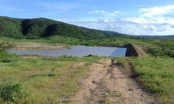 Imagem 6: Fazenda com 150 hectares em cachoeira do sapo na BR.304