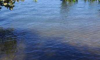Imagem 5: Chacaras e lotes as margens do lago de serra da mesa