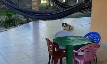 Imagem 2: Casa temporada em Jacuma-Conde PB