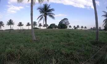 Imagem 5: ÁREA À VENDA, 46.000 M2, 300 METROS DA BR 101, APTIDÃO INDUSTRIAL