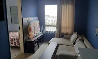 Imagem: São Paulo - Apartamento Padrão - São