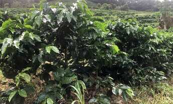 Imagem 6: Imóvel rural Chácara com venda por R$900.000