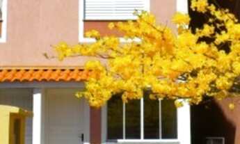 Imagem 7: Casa 2 quartos para alugar na Granja Viana