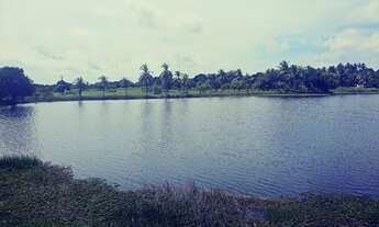 Imagem 6: Vendo Terreno Na Pindoretama Com 20 Hectares E Açude Dentro Vem Terreno Muito Bom. : Marc