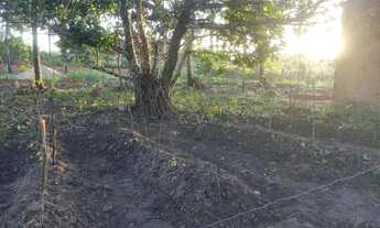 Imagem 6: Casa com terrenno