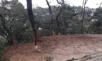 Imagem: Terreno no km 40 da rodovia Castelo Branco