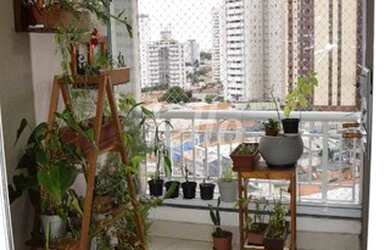 Imagem 7: São Paulo - Apartamento Padrão - Vila Gumercindo