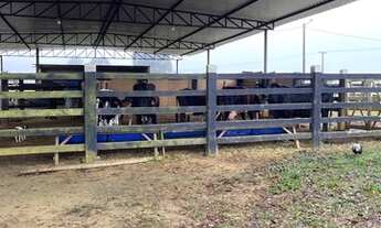 Imagem 3: FAZENDA TODA PRONTA UMA EXCLUSIVIDADE