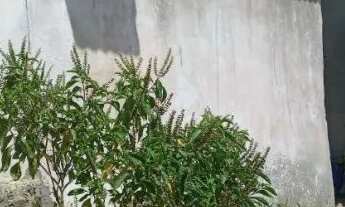 Imagem: Casa 3x4 R$20.000,00