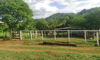 Imagem 4: Chácara em Avelinópolis