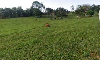 Imagem 3: Chácara em Avelinópolis