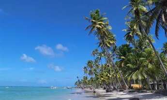 Imagem 6: Breve Lançamento praia de Carneiros!