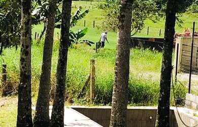 Imagem 7: Alugo sítio na divisa de Biguaçu com Antônio Carlos