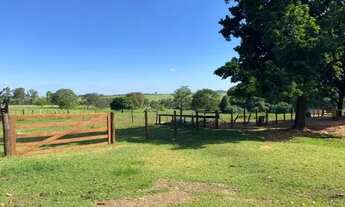 Imagem: Sítio dentro da cidade ótimo pra loteamento