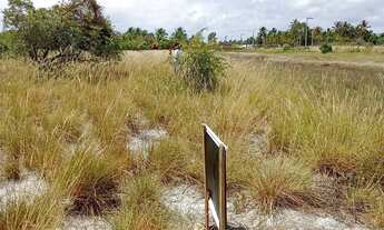 Imagem 6: Terreno próximo a Lagoa dos Tambaquis