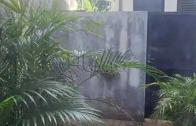 Imagem 15: Prédio para alugar em Campinas, Nova Campinas, com 252 m²