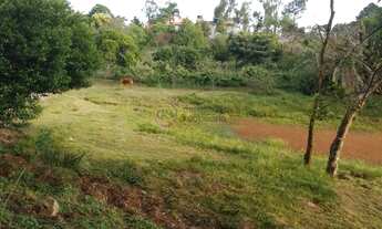 Imagem 6: Chácara 2 dormitórios à venda Zona Rural Morro Redondo/RS