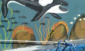 Imagem 10: Alugo casa por diária a 50 metros da praia ocian