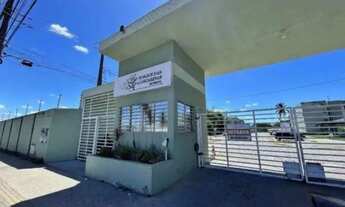 Imagem 3: Bosque das casuarinas