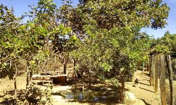 Imagem 7: Chácara (Condomínio Vale dos Sonhos