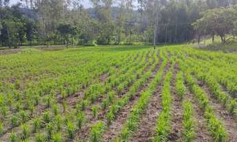 Imagem: Chácara próximo a Bonfinópolis