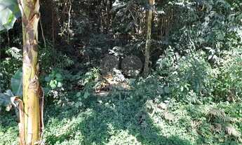 Imagem 4: Terreno à venda em Roseira - SP