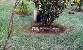 Imagem 4: Chácara com 3 dormitórios à venda, 1000 m² por R$ 380.000 - Estância São Carlos (Zona Rura