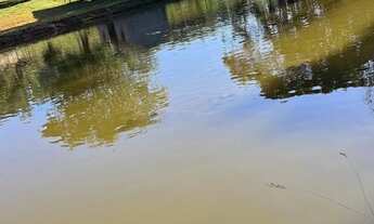 Imagem 4: Fazenda de 16.5 alq a 16km de Pirenópolis GO. 5.500.000