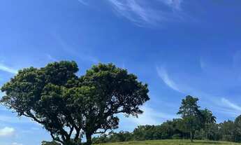 Imagem 3: Terreno barato em Ibiúna para construir chácara