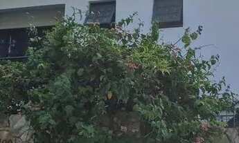 Imagem: Casa no Agronomica - Florianópolis SC