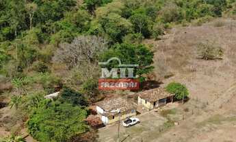 Imagem: Fazenda 17 Alqueires (82,28 hectares) Hidrolândia