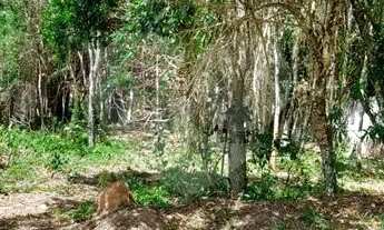 Imagem 3: Condomínio com 3 quartos à venda em Caraguatá - SP