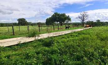 Imagem 7: Fazenda tripla aptidão, 188 hectares, dentro do perímetro urbano do município de Jangada