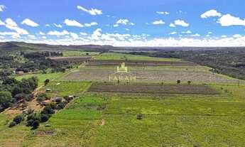Imagem 4: FAZENDA PRODUTIVA DUPLA APTIDÃO 100 % PLANA - AGRICULTURA/PECUÁRIA - PLANALTINA GOIÁS