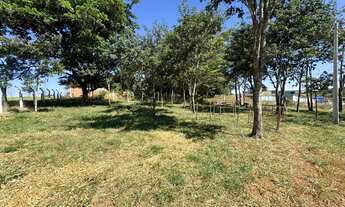 Imagem 5: CHACARA 6.400 METROS ESCRITURADA